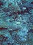 06Moorea - 015